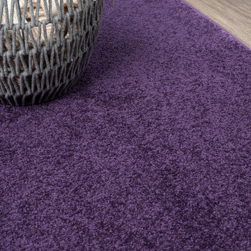 Haze Solid Low-pile Area Rug Purple